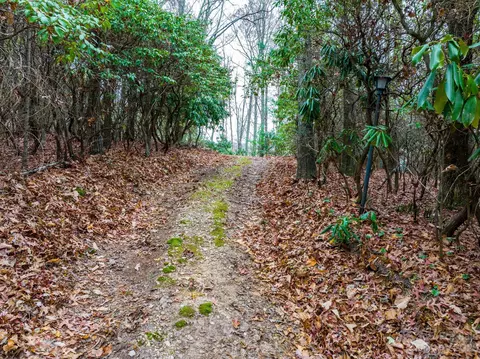 46 Overlook Dr, Spruce Pine, NC 28777 photo 13