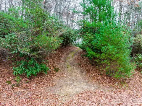 46 Overlook Dr, Spruce Pine, NC 28777 photo 14