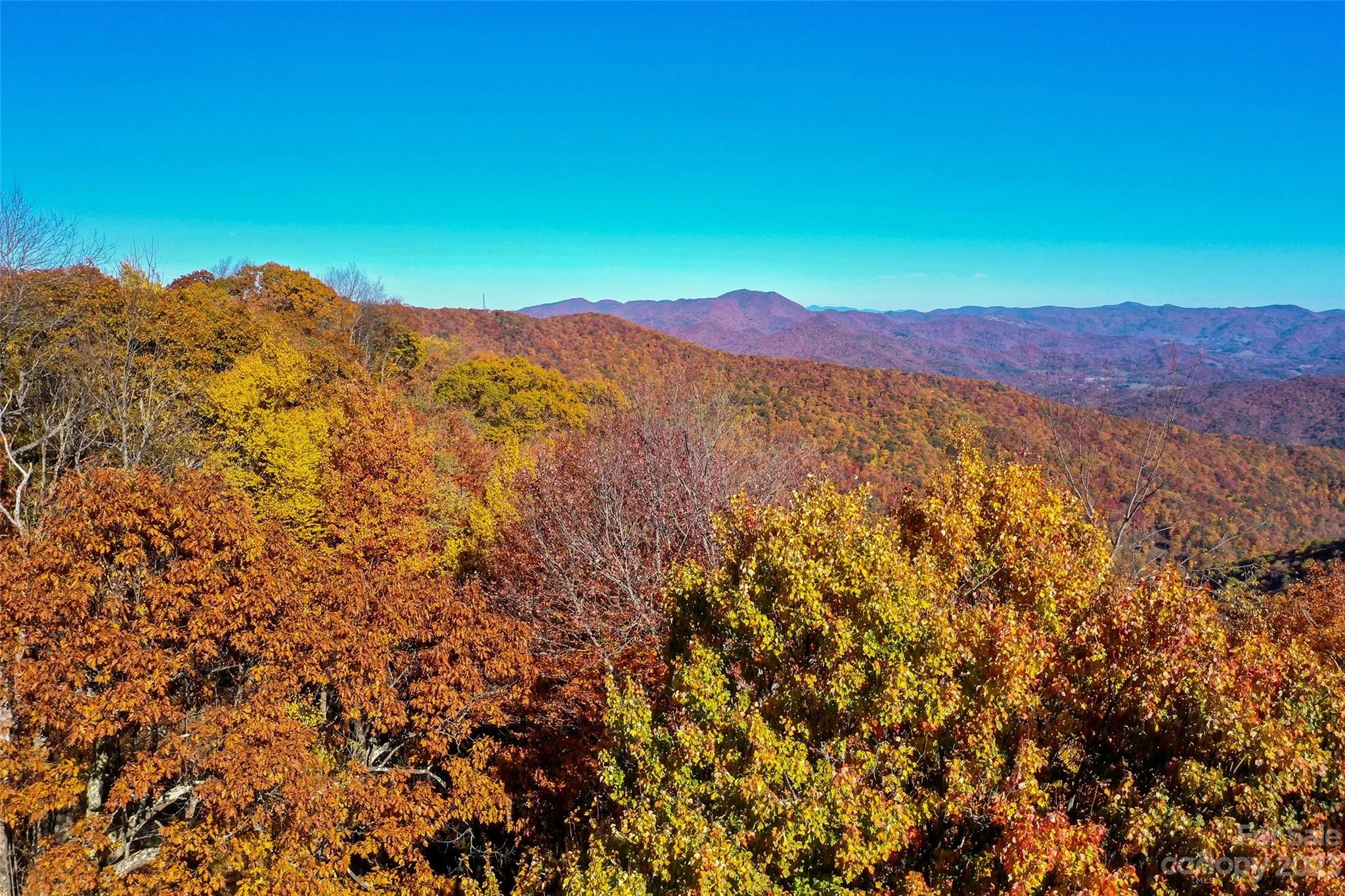 99999 Sigogglin 10 Trl Unit 10  