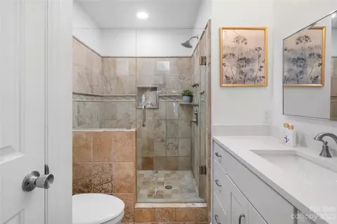 18699 Vineyard Point Ln, Cornelius, NC 28031 photo 16