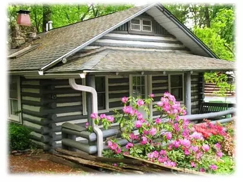 45 Spruce Dr, Asheville, NC 28805
