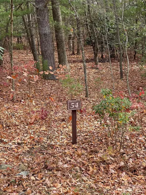 000 Pinnacle Falls Ln, Zirconia, NC 28790
