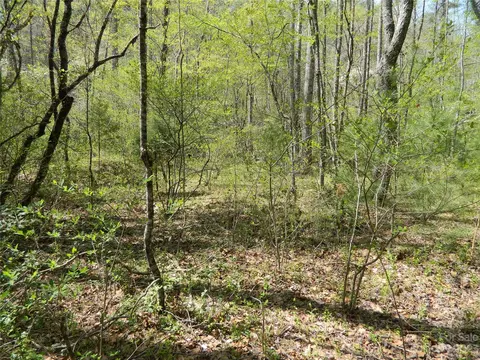 4756 Early Ne Pl NE, Lenoir, NC 28645