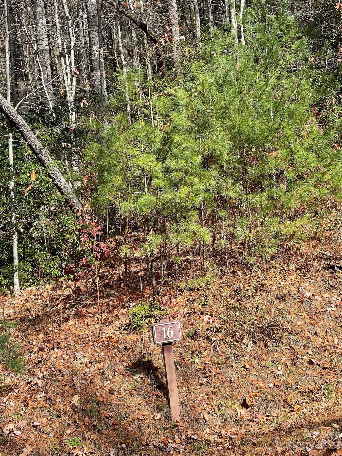 0000 Juniper Berry Ln  