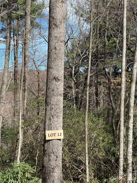 000 Eagle Ridge Rd, Zirconia, NC 28790