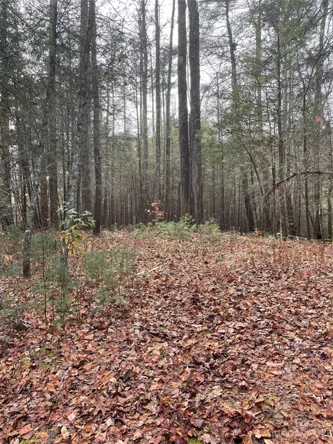 50 Mountain Escape Dr, Zirconia, NC 28790