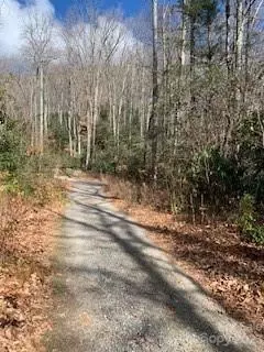 Greybeard Trail, Montreat, NC 28757