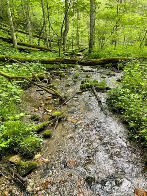 00 River Breeze 7 Est #7, Creston, NC 30005