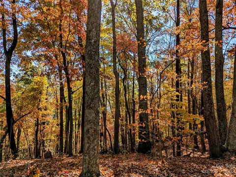 Hidden Lake Parkway, Nebo, NC 28761