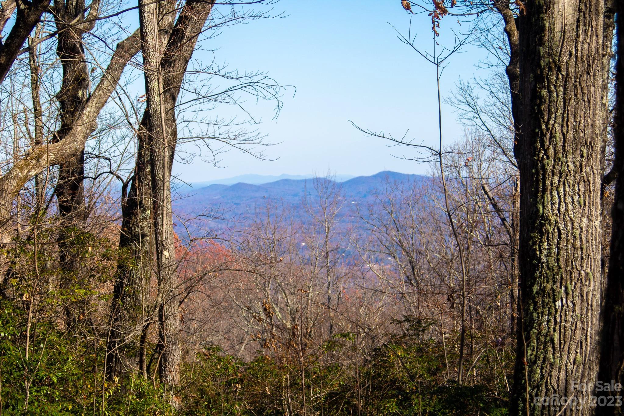 99999 Laurel Mountain 20 Trl Unit 20  
