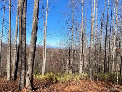 43 Meditation Ridge Drive Extension #43, Nebo, NC 28761