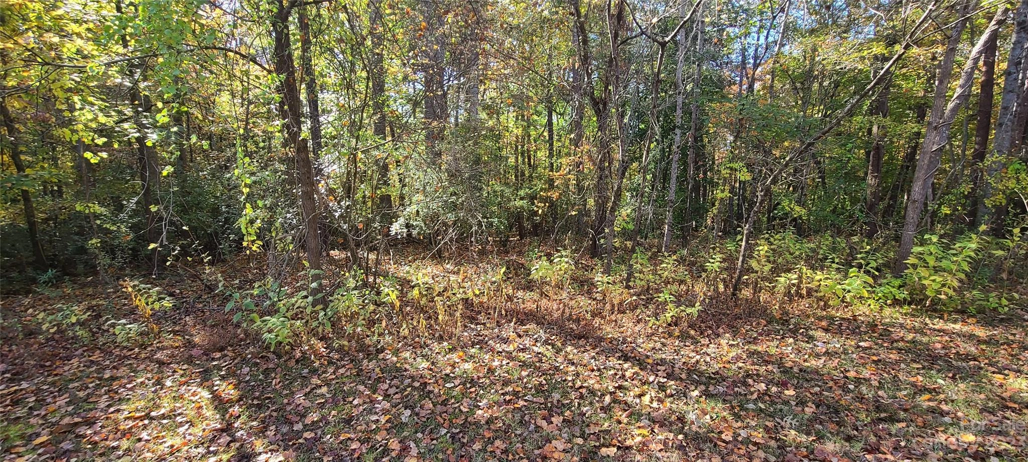 00 Amber Oaks 10a Dr Unit 10A  