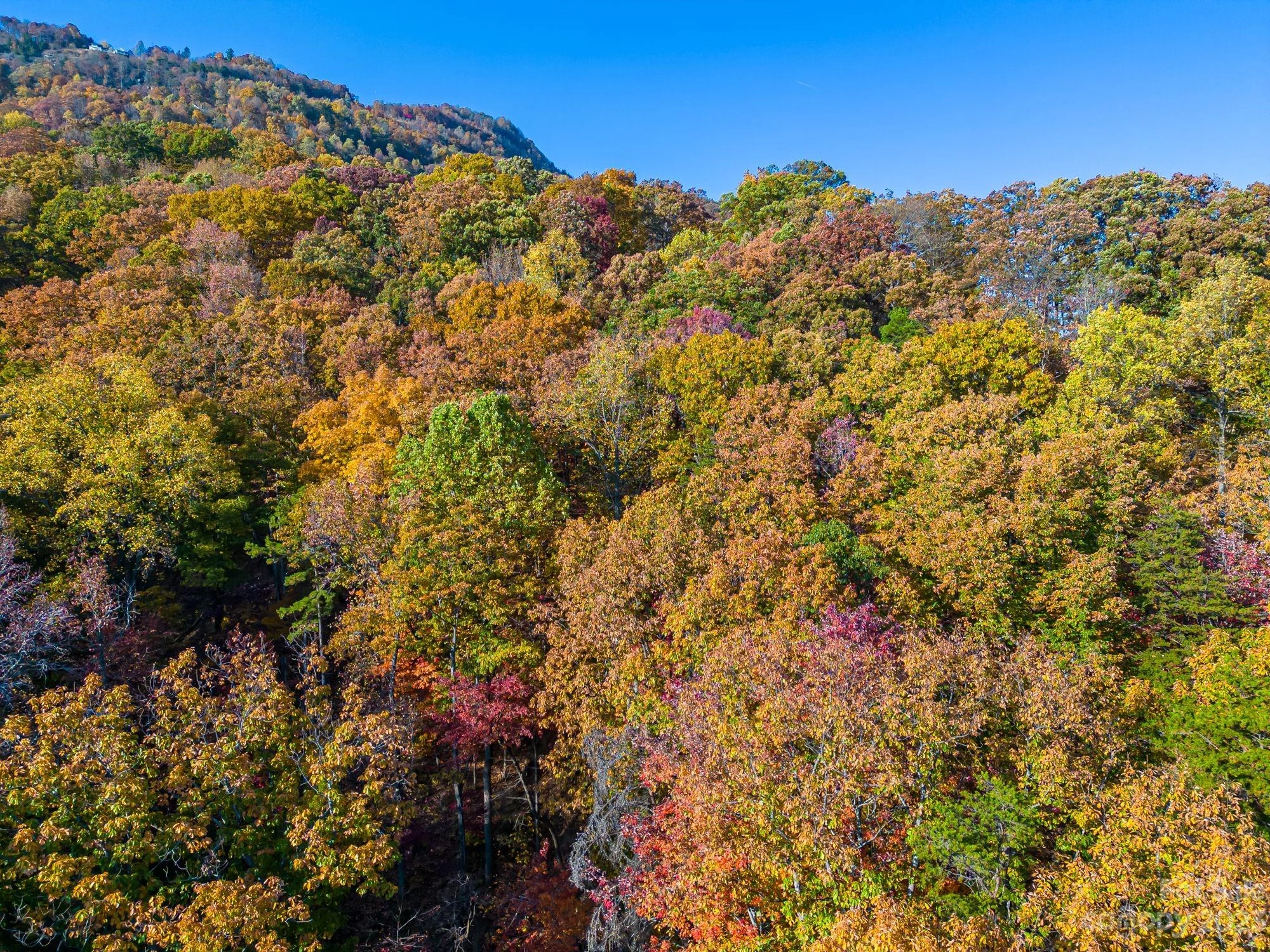 19 Hemlock 19 Trl Unit 19  