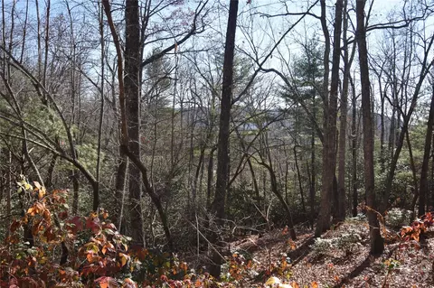 Overton Hills Drive, Hendersonville, NC 28739