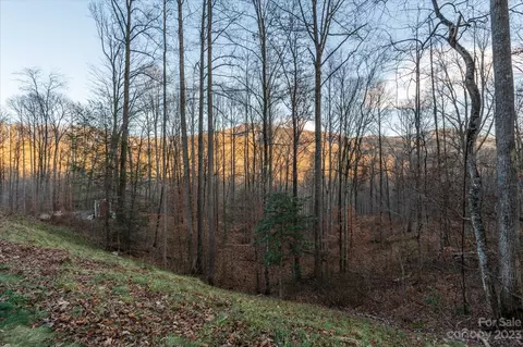 835 Rosemount Rd, Sylva, NC 28779 photo 41