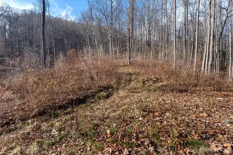 835 Rosemount Rd, Sylva, NC 28779 photo 36