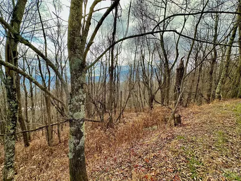 Alpine Drive, Seven Devils, NC 28604 photo 11