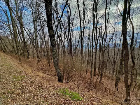 Alpine Drive, Seven Devils, NC 28604 photo 16