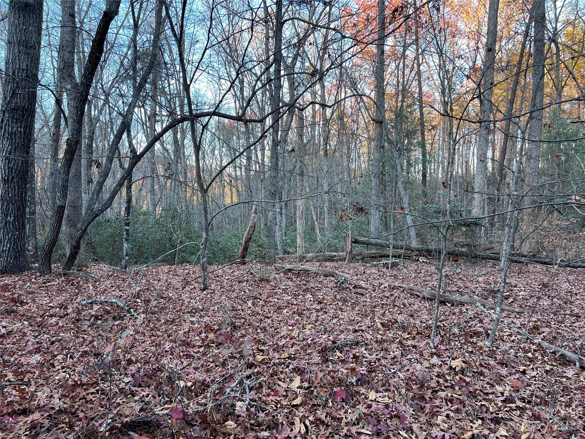 0 Rocky Mount 52 Dr Unit 52  