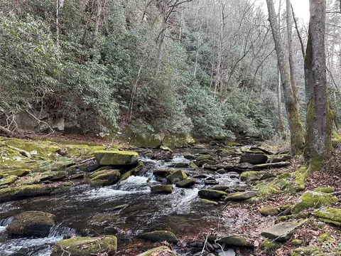 1363 Armstrong Creek Rd, Marion, NC 28752