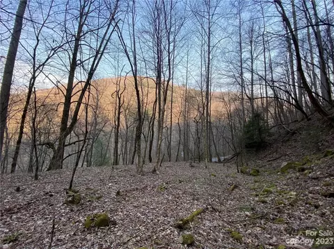 000 Alarka Rd, Bryson City, NC 28713