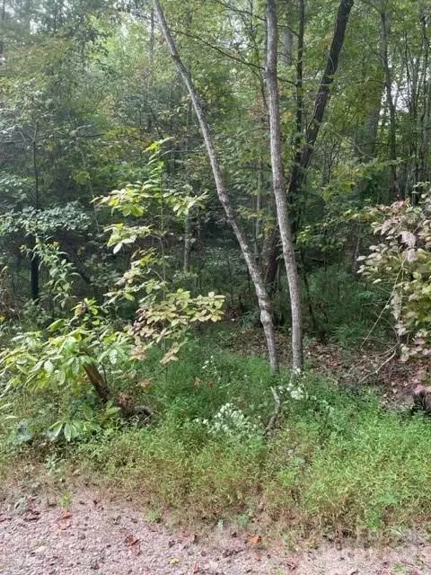 0 Blessed Valley Ln, Mill Spring, NC 28756 photo 3