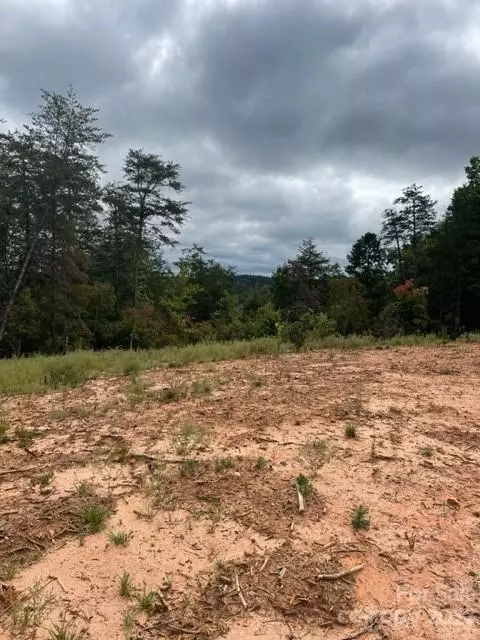 0 Blessed Valley Ln, Mill Spring, NC 28756 photo 11