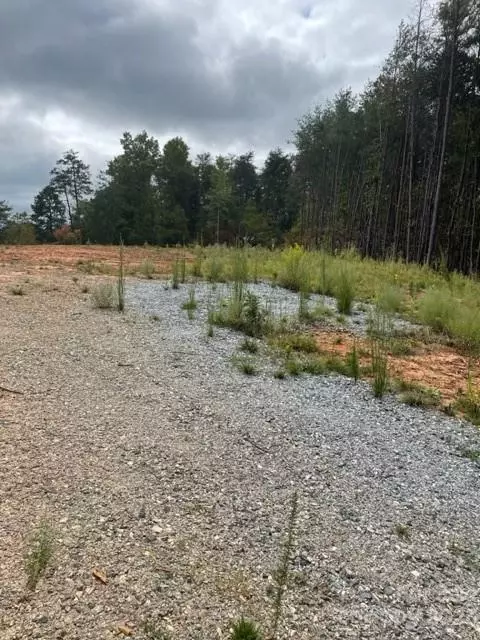0 Blessed Valley Ln, Mill Spring, NC 28756 photo 8