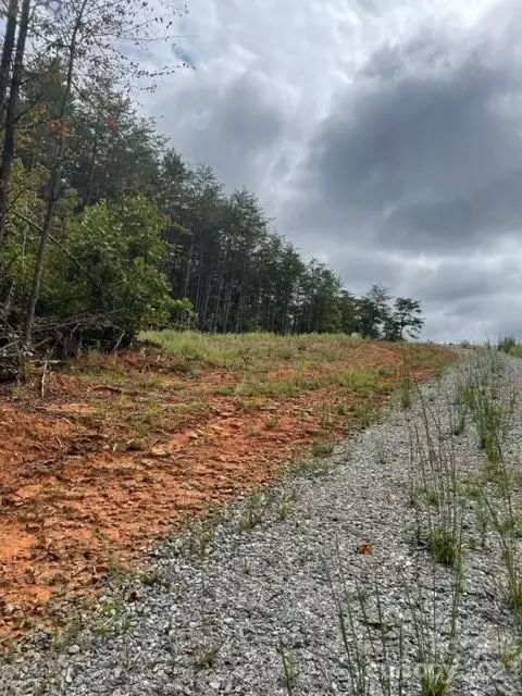 0 Blessed Valley Ln, Mill Spring, NC 28756 photo 6