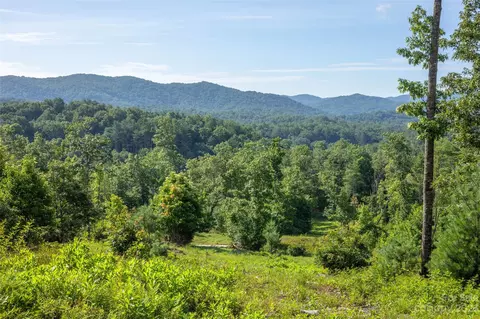 Walnut Hollow 1 And 2 Road #1 AND 2, Brevard, NC 28712