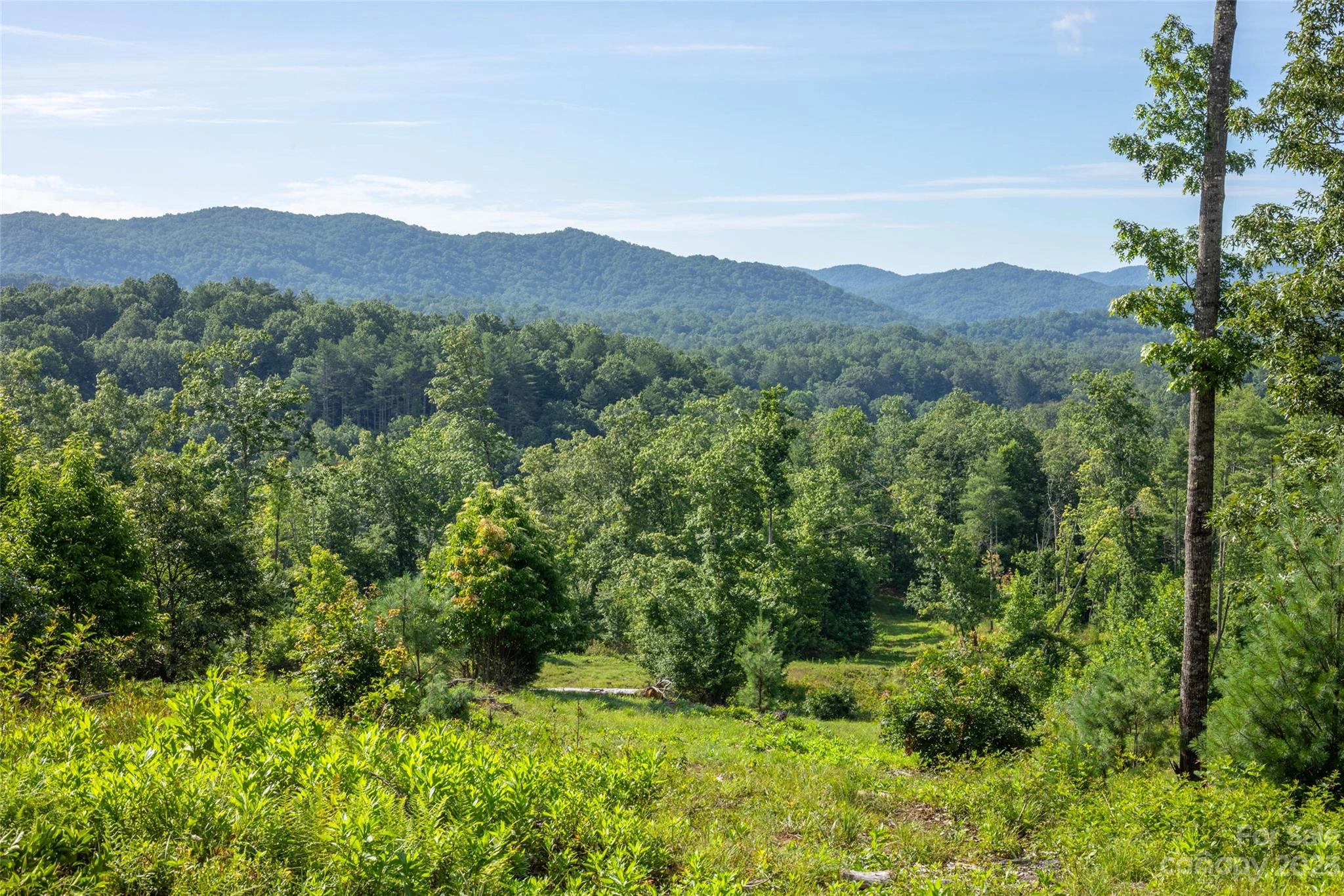 Walnut Hollow 1 And 2 Road Unit 1 AND 2