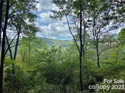 4 Honey Mountain Lane #4, Lake Toxaway, NC 28747