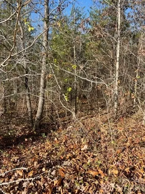 0 Holly Forest Dr, Rutherfordton, NC 28139
