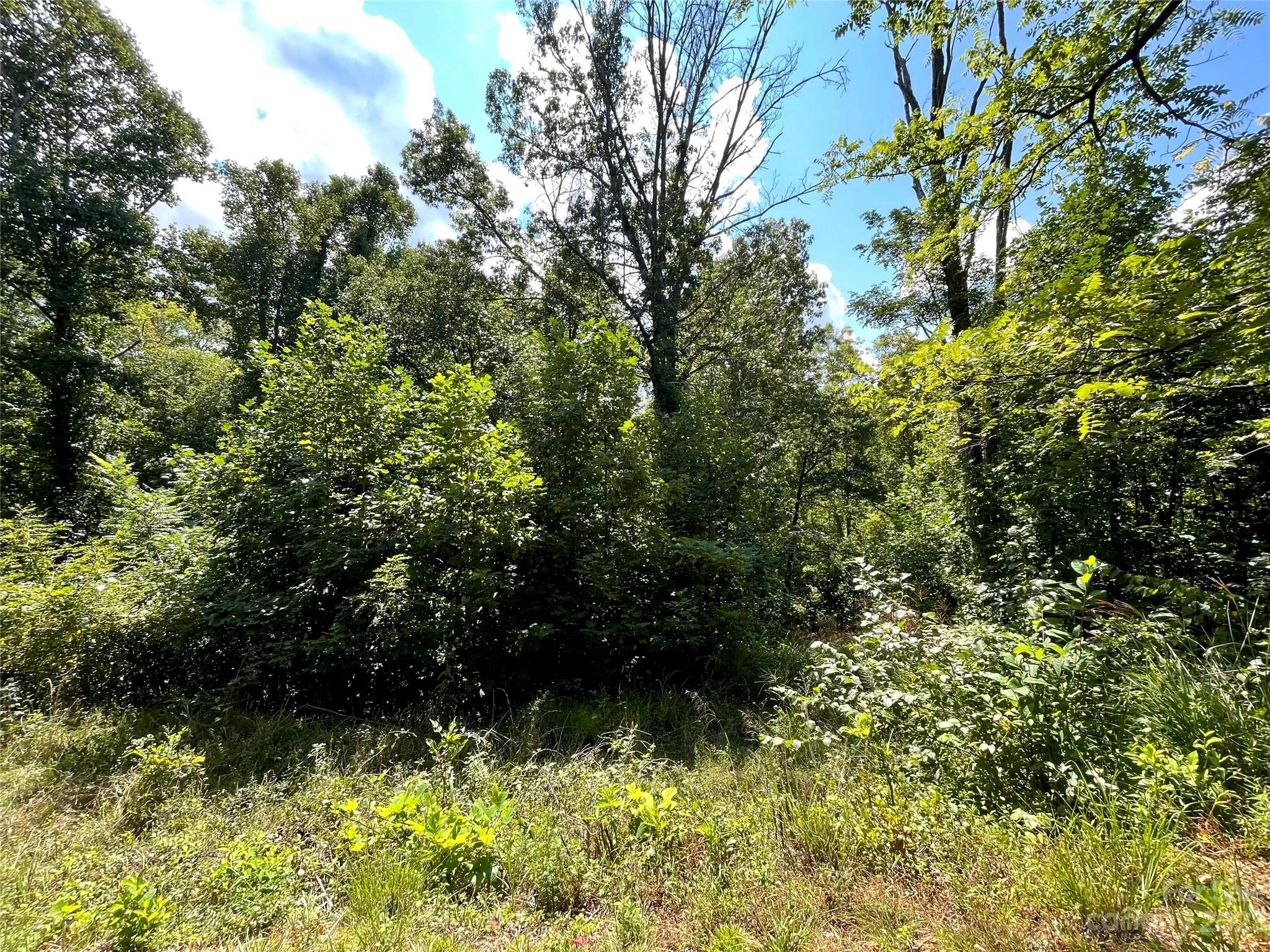 135 Locust Grove 196 Ln Unit 196  