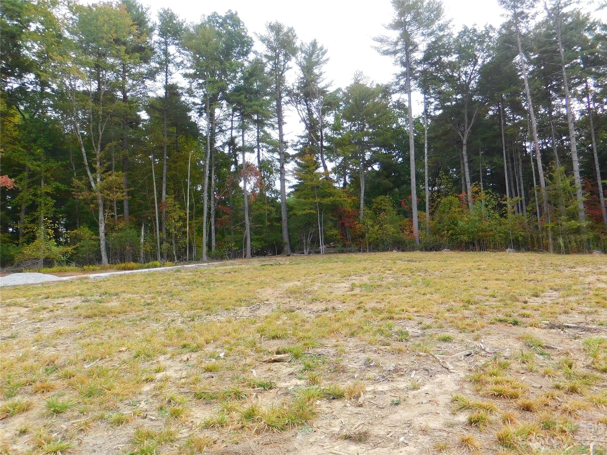 00 Kelly Daniele 5 Ln Unit 5