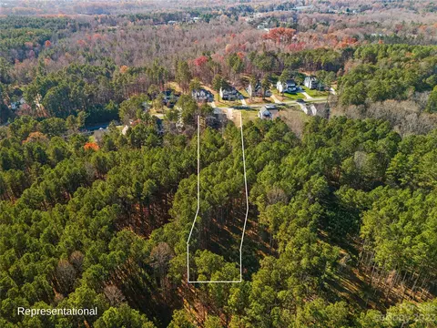 4200 Island Fox Ln, Denver, NC 28037 photo 45