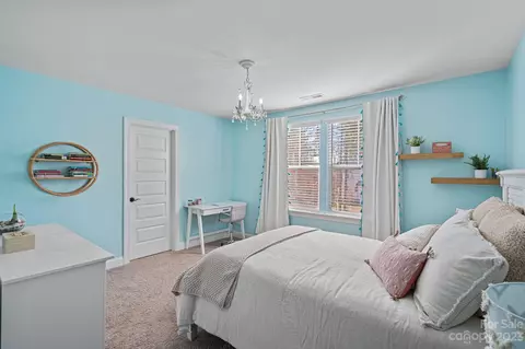 4200 Island Fox Ln, Denver, NC 28037 photo 23