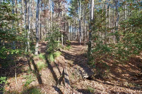 4200 Island Fox Ln, Denver, NC 28037 photo 39