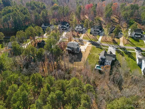 4200 Island Fox Ln, Denver, NC 28037 photo 46