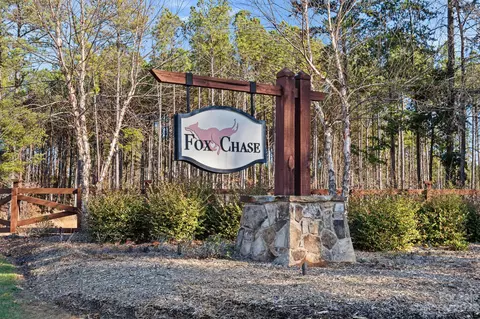 4200 Island Fox Ln, Denver, NC 28037 photo 47