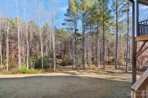 4200 Island Fox Ln, Denver, NC 28037 photo 36