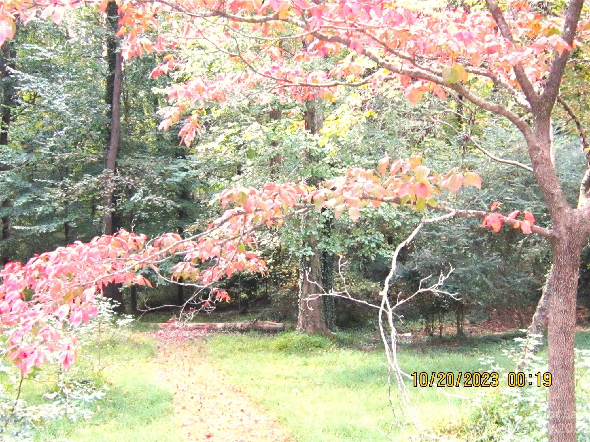 7033 Lakeside E Dr E  