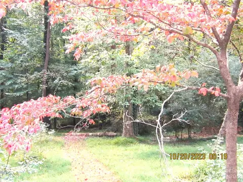 7033 Lakeside E Dr E, Charlotte, NC 28215