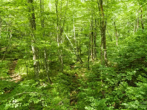 Brothers Lane, Mars Hill, NC 28754