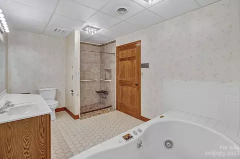 21 Windswept Dr, Candler, NC 28715 photo 33