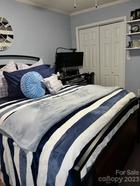 21224 Spring St, Cornelius, NC 28031 photo 21