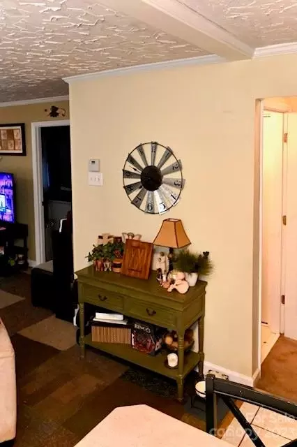 21224 Spring St, Cornelius, NC 28031 photo 10