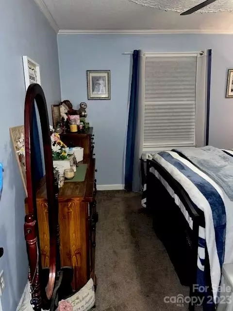 21224 Spring St, Cornelius, NC 28031 photo 20