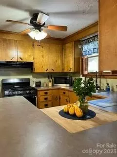 21224 Spring St, Cornelius, NC 28031 photo 14
