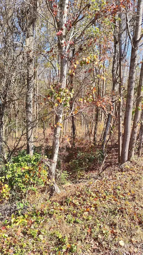 000 Tomlin Rd, Harmony, NC 28634 photo 2